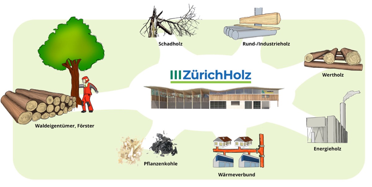 Zürichholz Holzverwertung